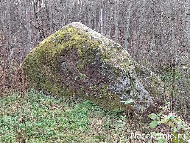 Мой любимый город или дорогие сердцу места