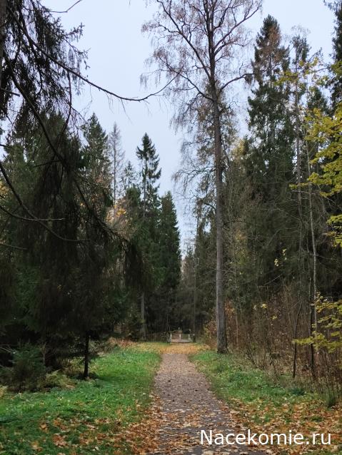 Мой любимый город или дорогие сердцу места