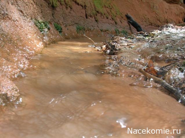 Мой любимый город или дорогие сердцу места