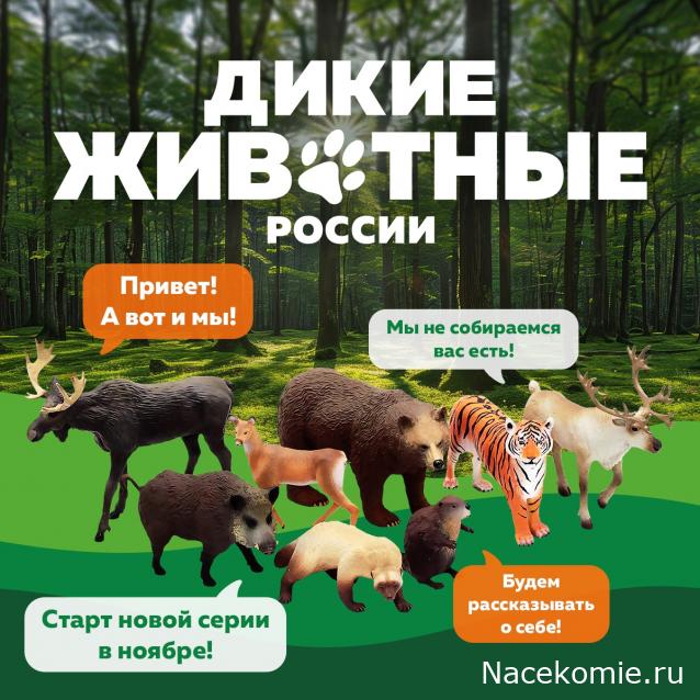 Возможные журнальные серии от Modimio