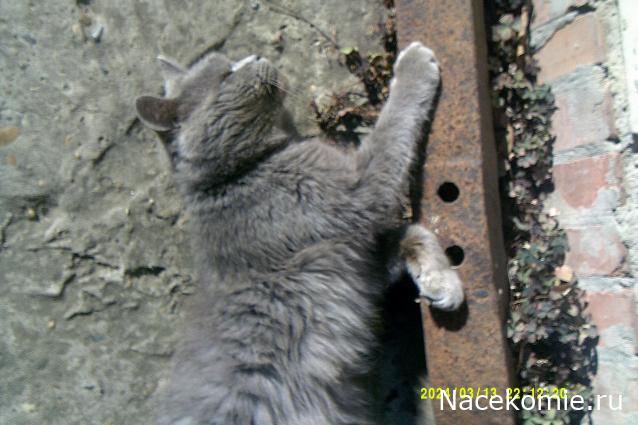 Eva1949 - Дом мечты-души моей воспоминания; 1Abrikoska - Мой гостеприимный дом