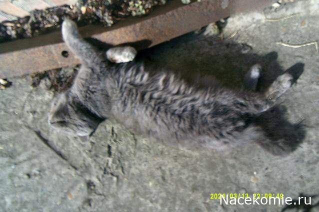 Eva1949 - Дом мечты-души моей воспоминания; 1Abrikoska - Мой гостеприимный дом