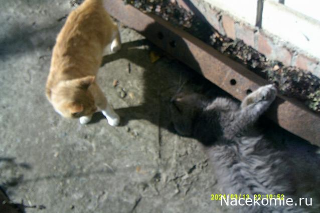 Eva1949 - Дом мечты-души моей воспоминания; 1Abrikoska - Мой гостеприимный дом