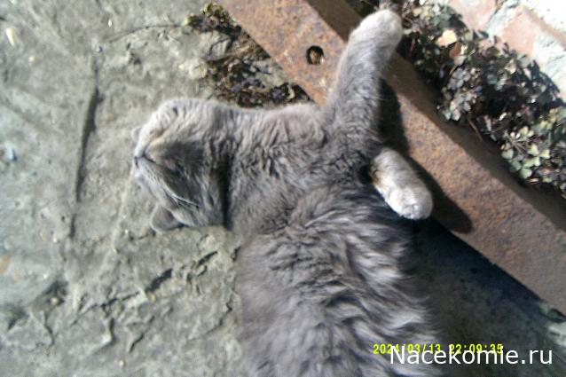 Eva1949 - Дом мечты-души моей воспоминания; 1Abrikoska - Мой гостеприимный дом