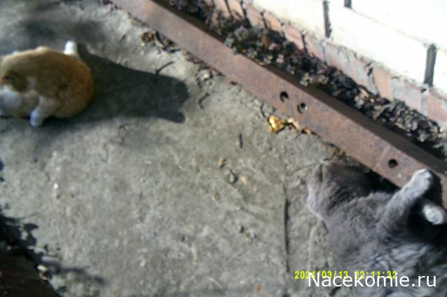 Eva1949 - Дом мечты-души моей воспоминания; 1Abrikoska - Мой гостеприимный дом