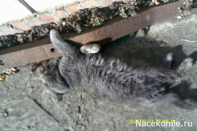 Eva1949 - Дом мечты-души моей воспоминания; 1Abrikoska - Мой гостеприимный дом