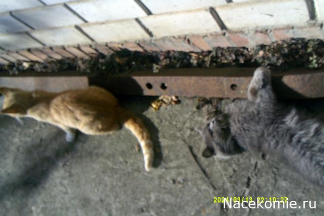 Eva1949 - Дом мечты-души моей воспоминания; 1Abrikoska - Мой гостеприимный дом