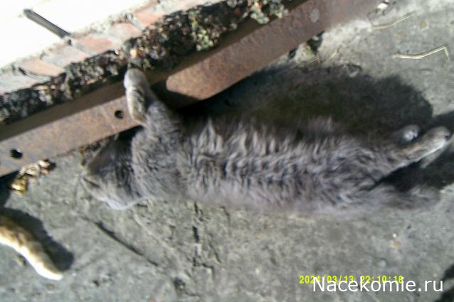 Eva1949 - Дом мечты-души моей воспоминания; 1Abrikoska - Мой гостеприимный дом