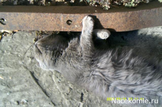 Eva1949 - Дом мечты-души моей воспоминания; 1Abrikoska - Мой гостеприимный дом