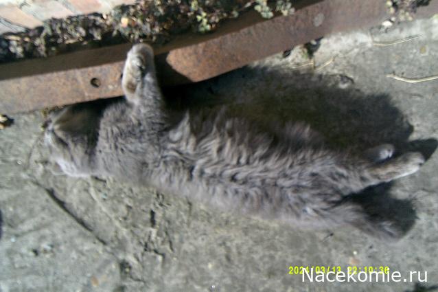 Eva1949 - Дом мечты-души моей воспоминания; 1Abrikoska - Мой гостеприимный дом