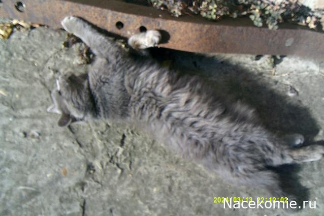 Eva1949 - Дом мечты-души моей воспоминания; 1Abrikoska - Мой гостеприимный дом