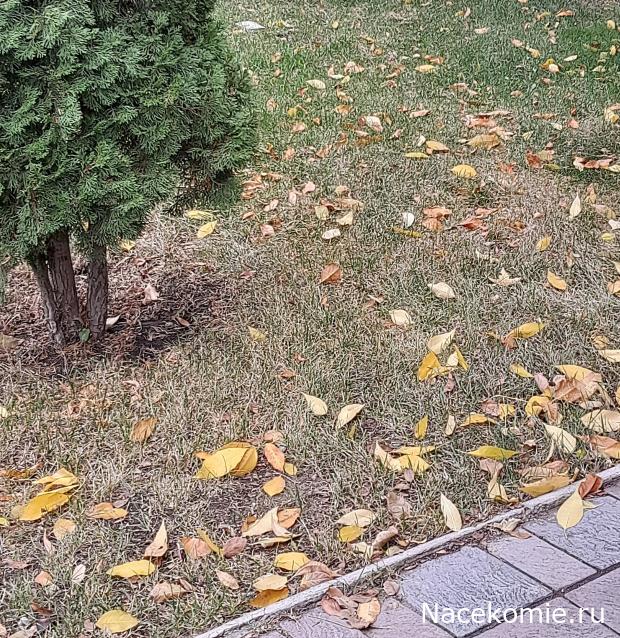 Liana65-Snegana - Мой будущий дом и его обитатели.