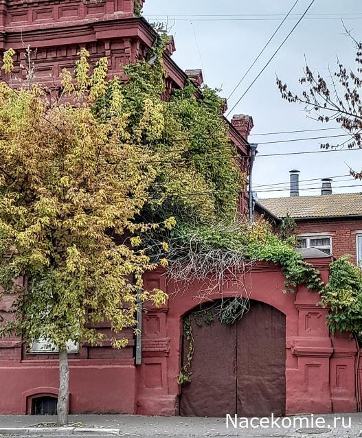 Liana65-Snegana - Мой будущий дом и его обитатели.