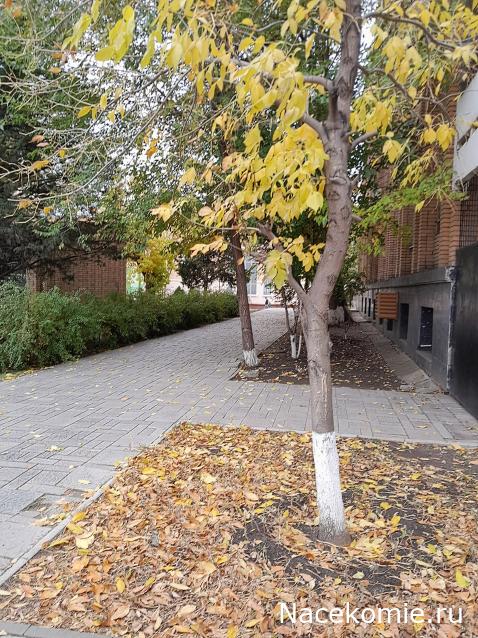 Liana65-Snegana - Мой будущий дом и его обитатели.