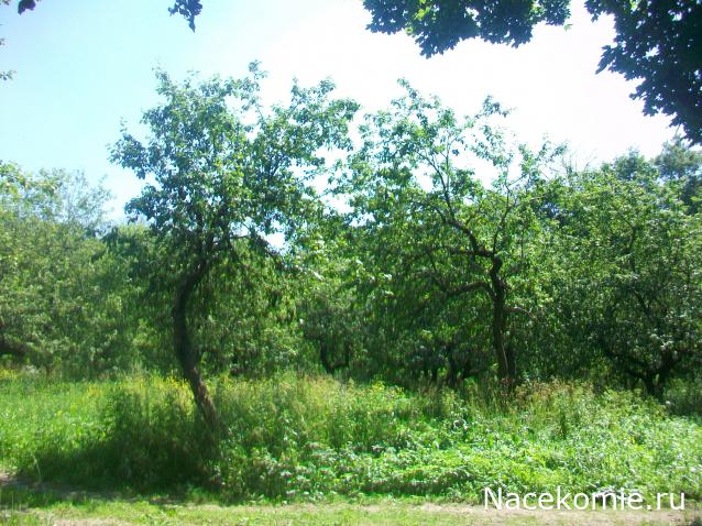 mirumir - Ваня, Валя, Вася