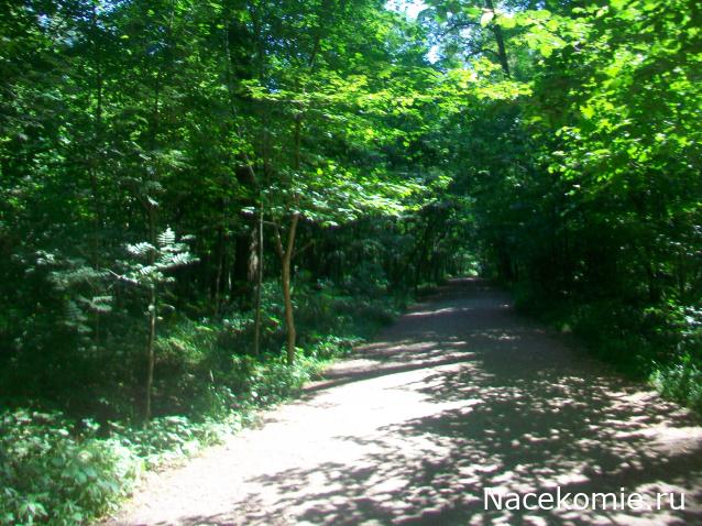 mirumir - Ваня, Валя, Вася