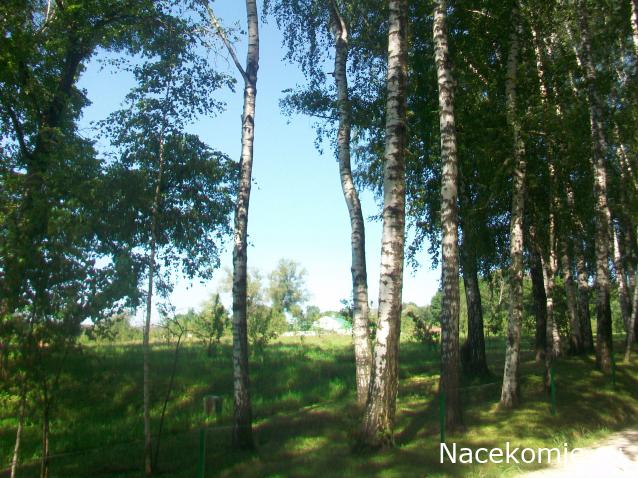 mirumir - Ваня, Валя, Вася