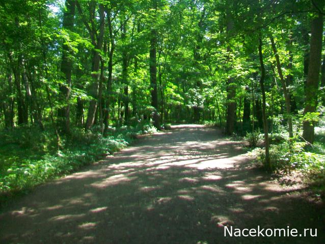 mirumir - Ваня, Валя, Вася