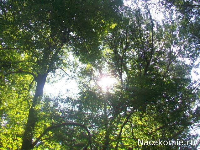 mirumir - Ваня, Валя, Вася