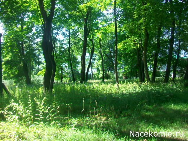 mirumir - Ваня, Валя, Вася