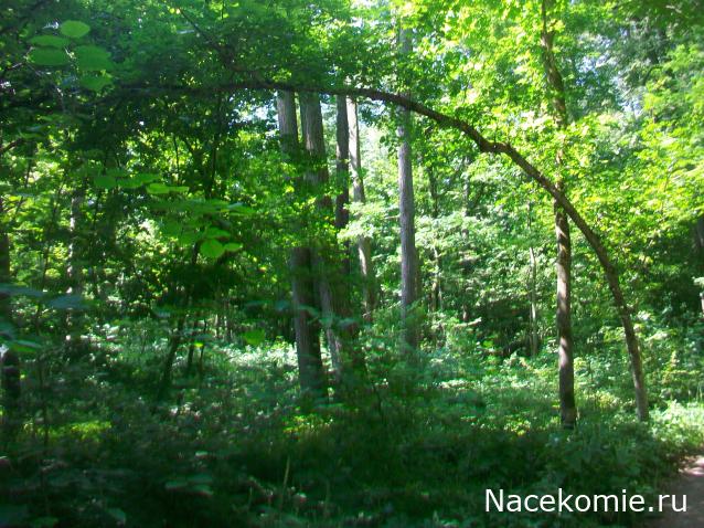 mirumir - Ваня, Валя, Вася