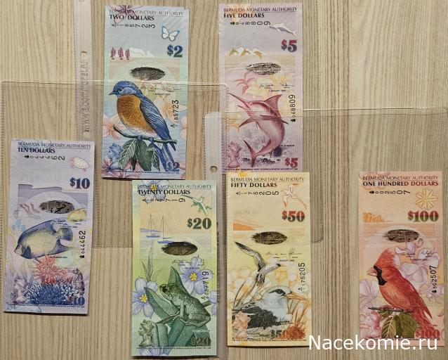 Коллекция alexenamel