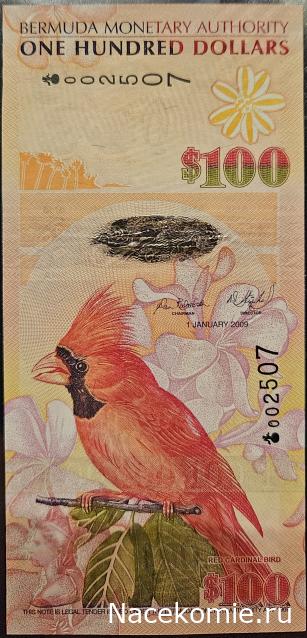 Коллекция alexenamel