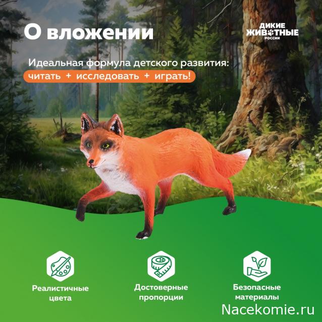 Дикие животные России (MODIMIO)