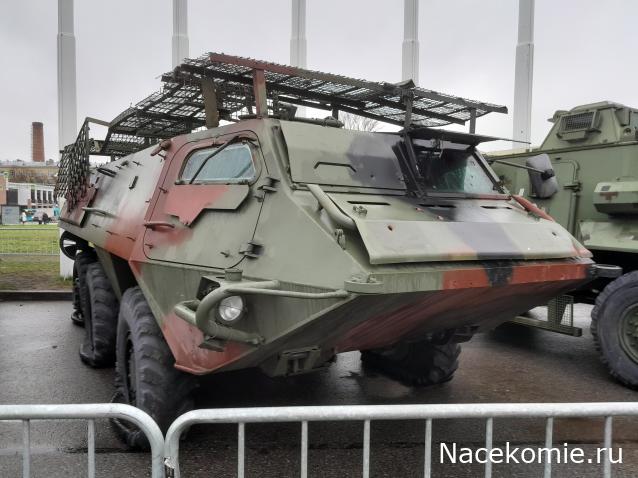 Автолегенды вживую