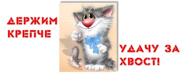 100 крестиков!