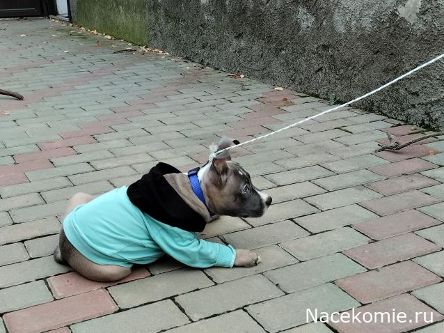 "Живой уголок"