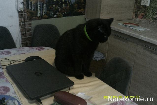 Eva1949 - Дом мечты-души моей воспоминания; 1Abrikoska - Мой гостеприимный дом