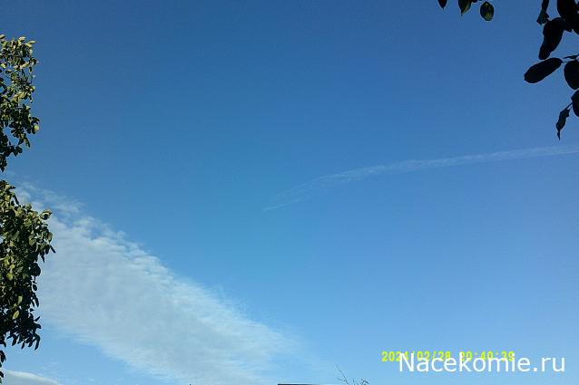 Eva1949 - Дом мечты-души моей воспоминания; 1Abrikoska - Мой гостеприимный дом