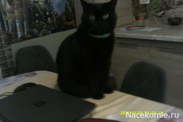 Eva1949 - Дом мечты-души моей воспоминания; 1Abrikoska - Мой гостеприимный дом