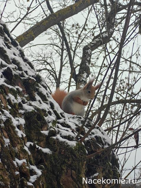 "Живой уголок"