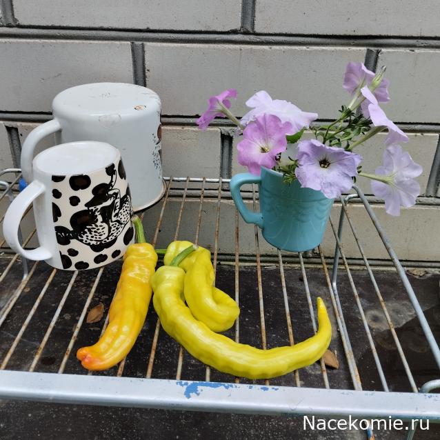 Кулинарный отдел