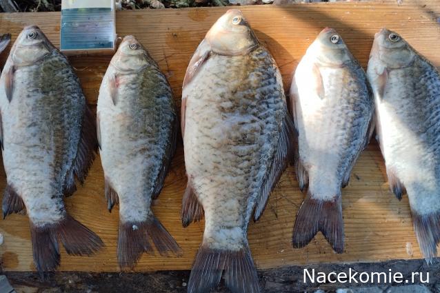 Кулинарный отдел