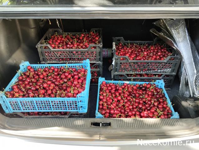 Кулинарный отдел