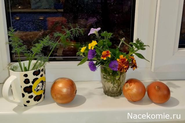 Кулинарный отдел