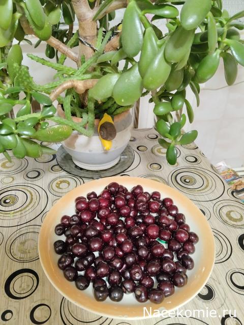 Кулинарный отдел