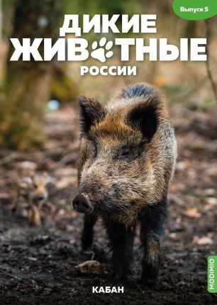 Дикие животные России (MODIMIO)
