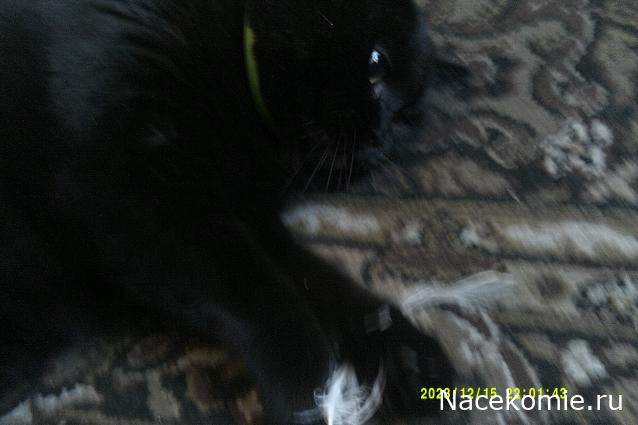 Eva1949 - Дом мечты-души моей воспоминания; 1Abrikoska - Мой гостеприимный дом