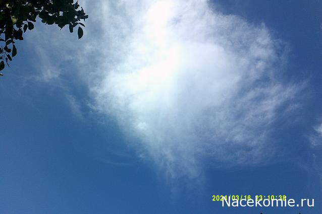 Eva1949 - Дом мечты-души моей воспоминания; 1Abrikoska - Мой гостеприимный дом