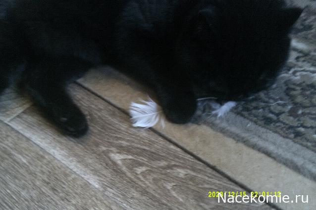 Eva1949 - Дом мечты-души моей воспоминания; 1Abrikoska - Мой гостеприимный дом