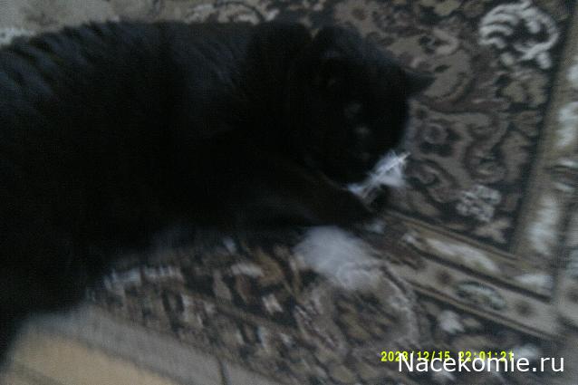 Eva1949 - Дом мечты-души моей воспоминания; 1Abrikoska - Мой гостеприимный дом