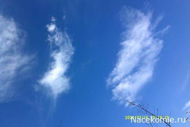 Eva1949 - Дом мечты-души моей воспоминания; 1Abrikoska - Мой гостеприимный дом