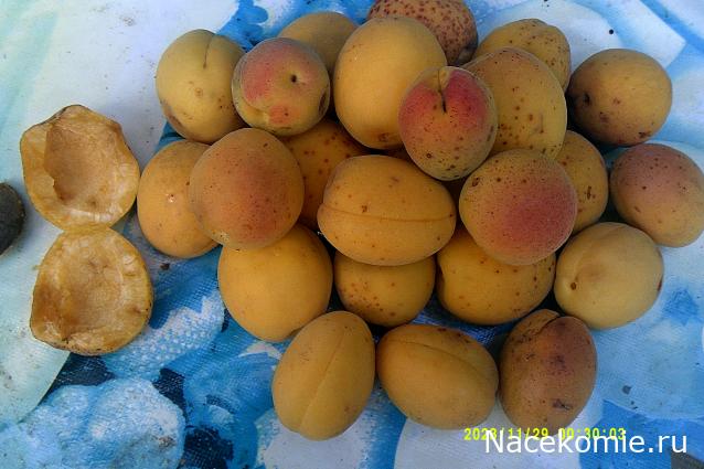 Кулинарный отдел