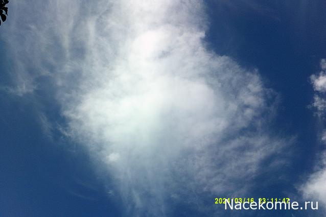 Eva1949 - Дом мечты-души моей воспоминания; 1Abrikoska - Мой гостеприимный дом