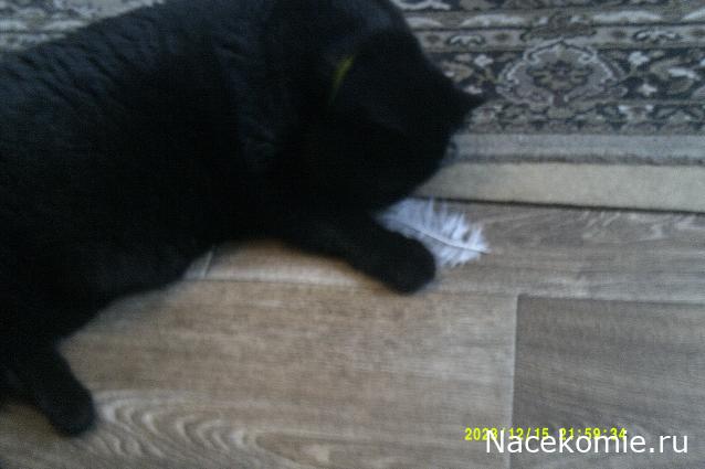 Eva1949 - Дом мечты-души моей воспоминания; 1Abrikoska - Мой гостеприимный дом