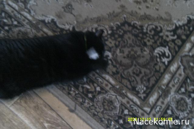 Eva1949 - Дом мечты-души моей воспоминания; 1Abrikoska - Мой гостеприимный дом